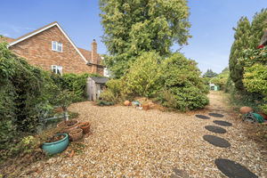 Side Garden- click for photo gallery